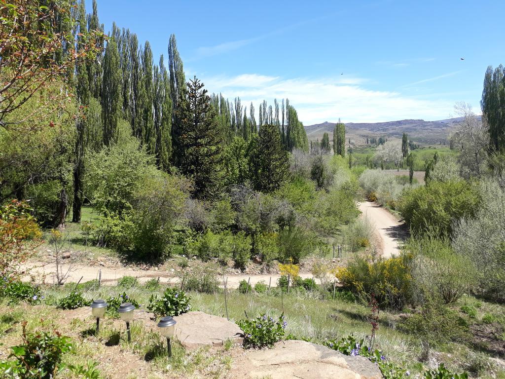 Posada De Campo La Calma Aluminé Eksteriør bilde